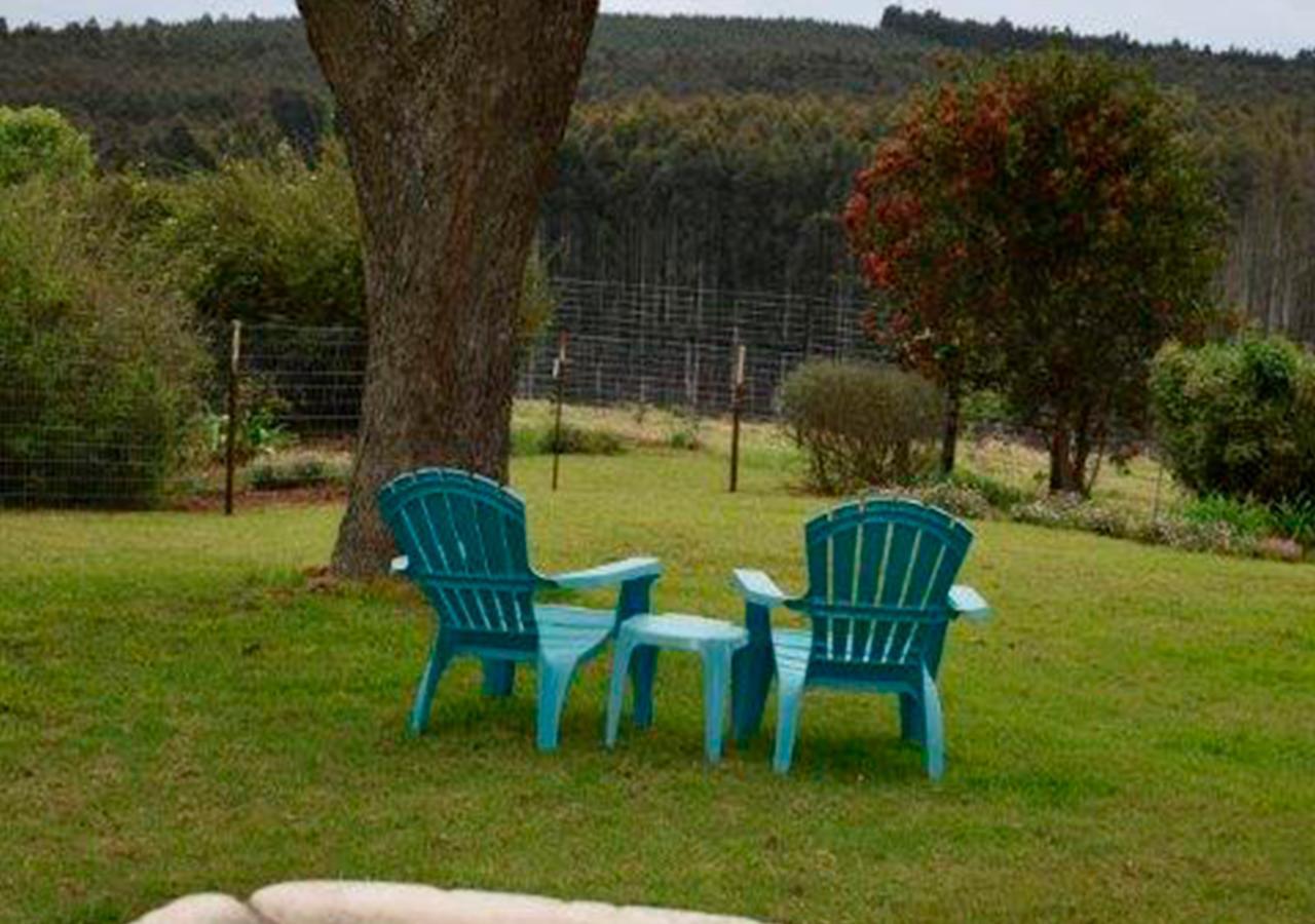 Amber Avenue Guesthouse Howick Exteriör bild