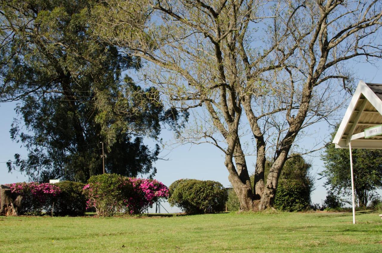 Amber Avenue Guesthouse Howick Exteriör bild